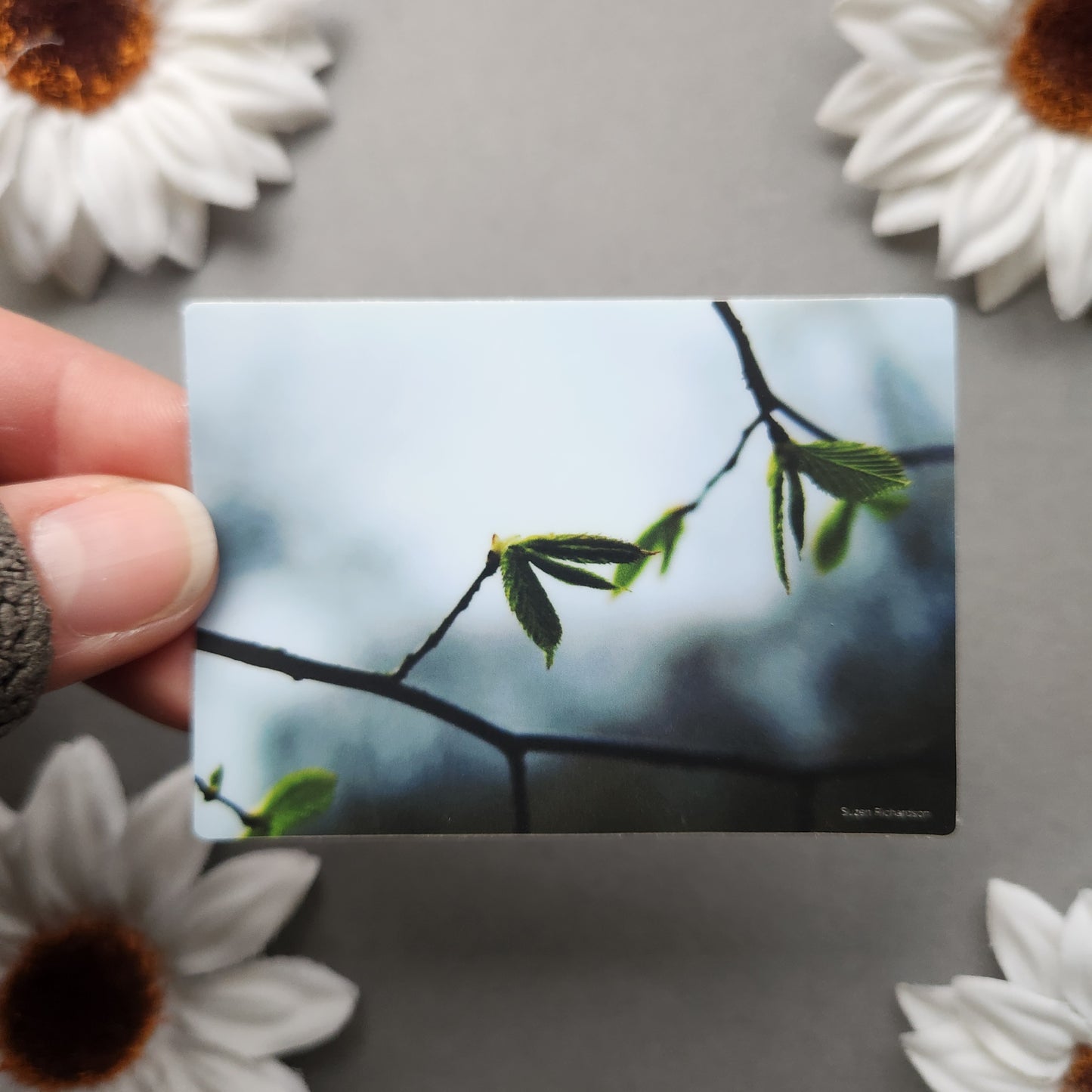 Spring Leaves Photo 3x2.1-inch Matte Sticker