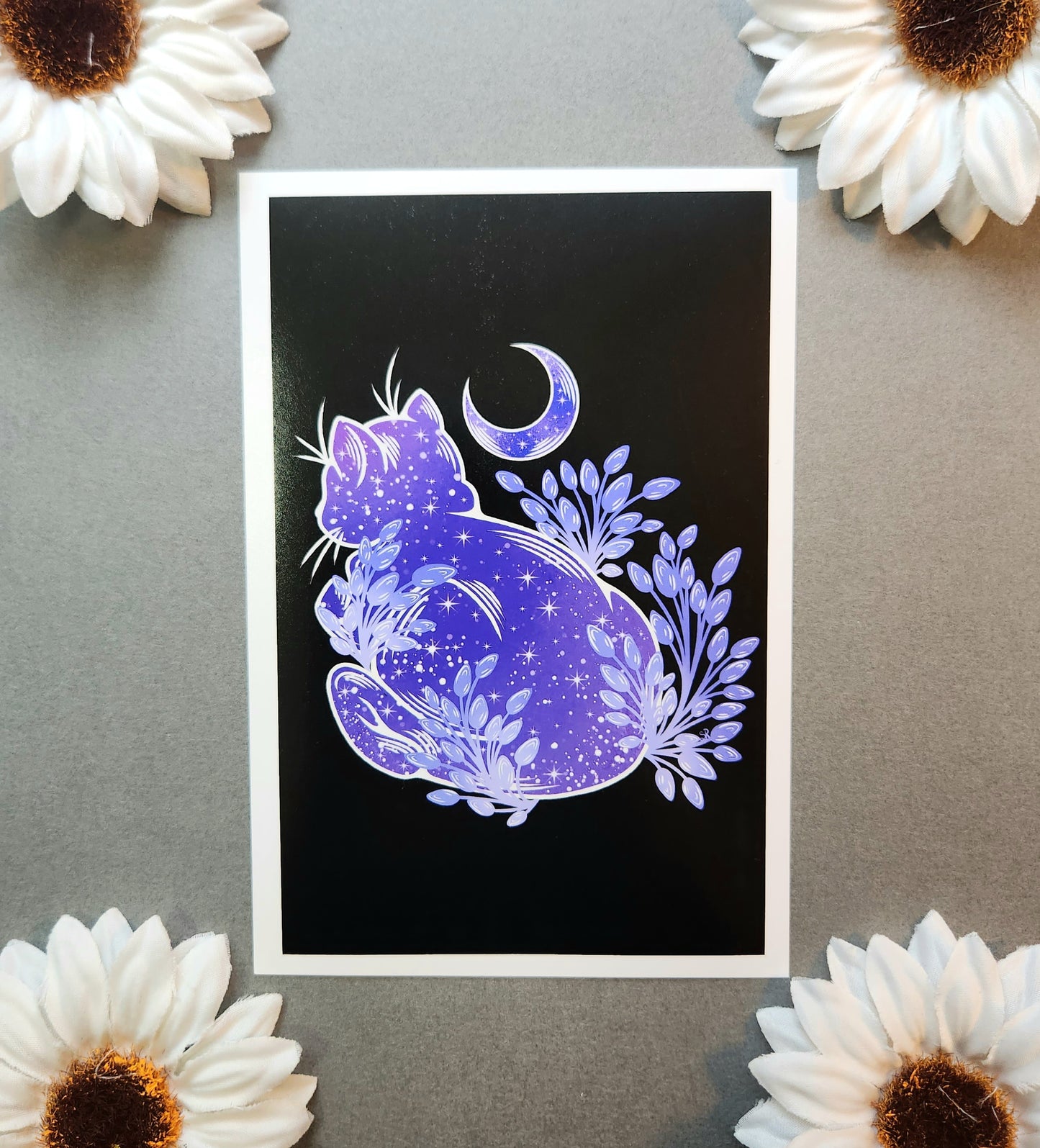 Plum Kitty 4x6 Matte Print