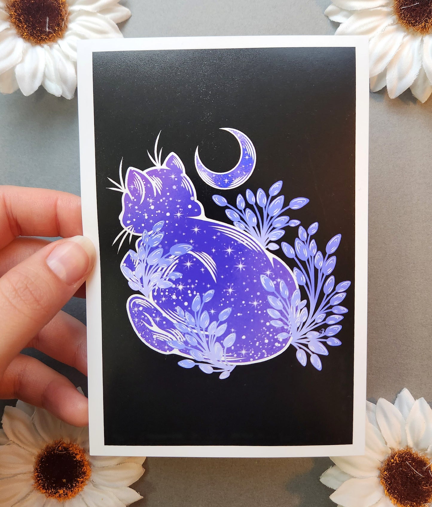 Plum Kitty 4x6 Matte Print