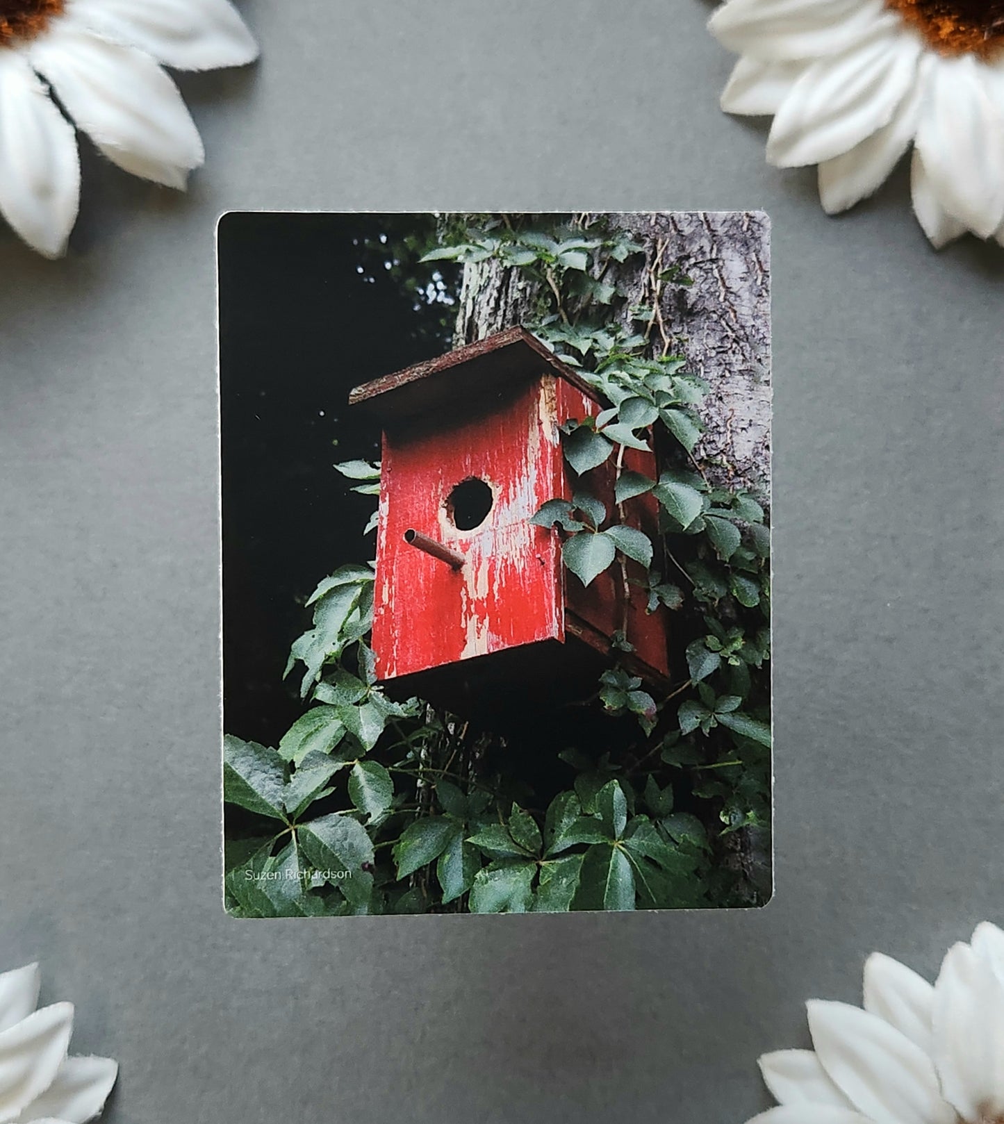 Red Bird House Photo 2.4x3-inch Matte Sticker