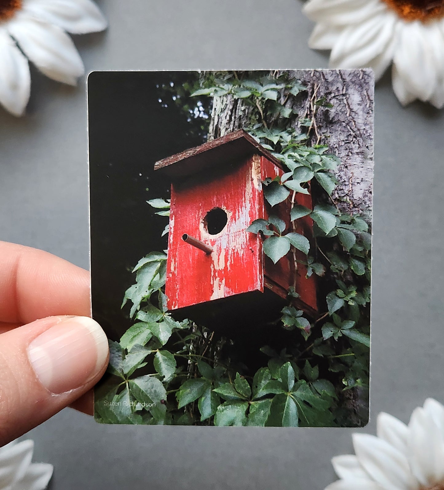 Red Bird House Photo 2.4x3-inch Matte Sticker