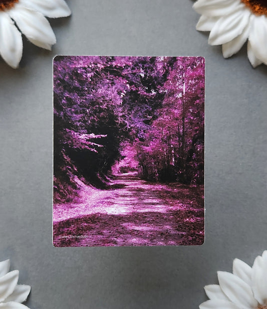 Purple Film Forest Photo 2.4x3-inch Matte Sticker