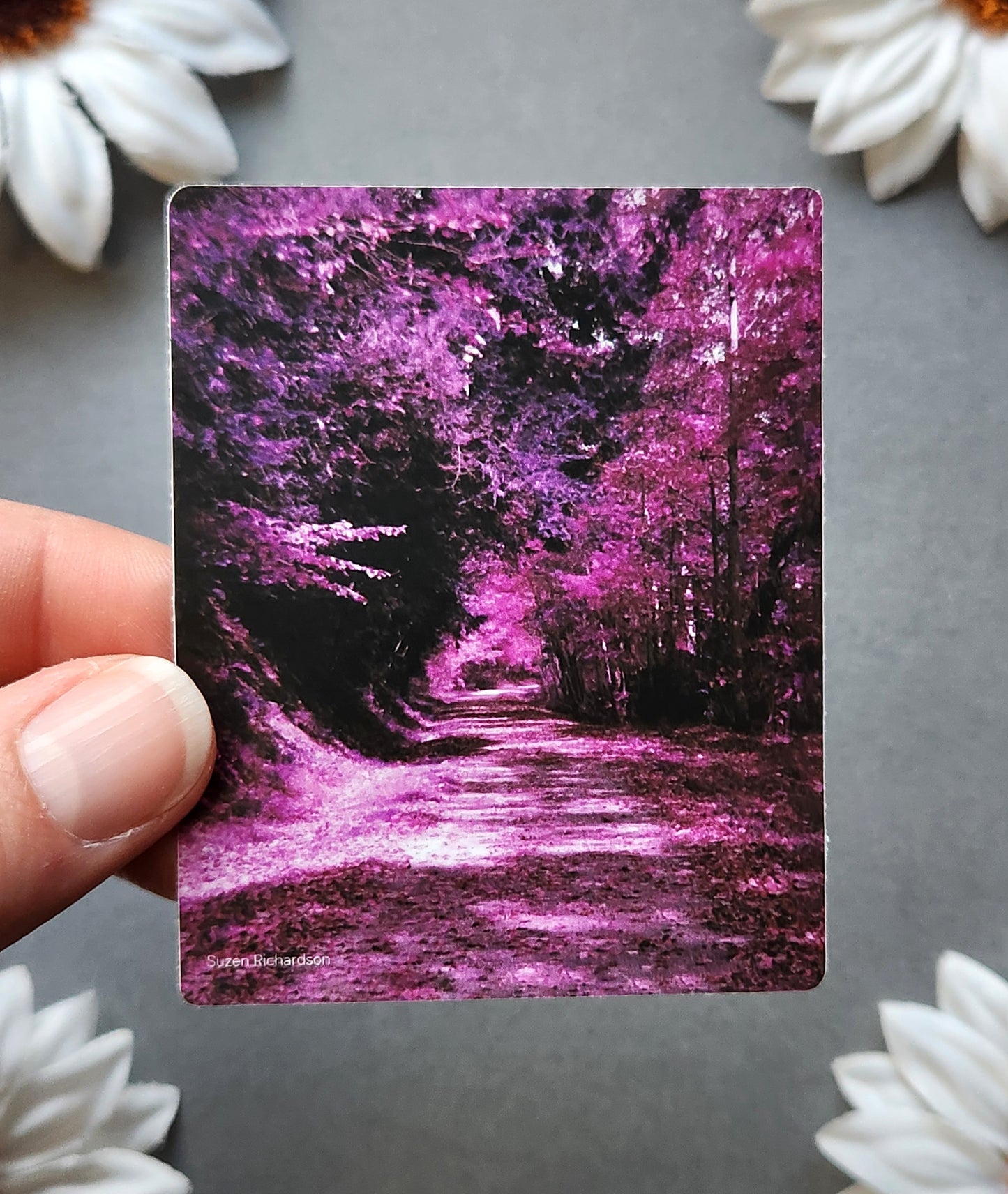 Purple Film Forest Photo 2.4x3-inch Matte Sticker