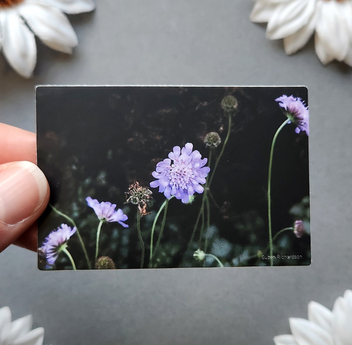 Purple Flowers Photo 3x2-inch Matte Sticker