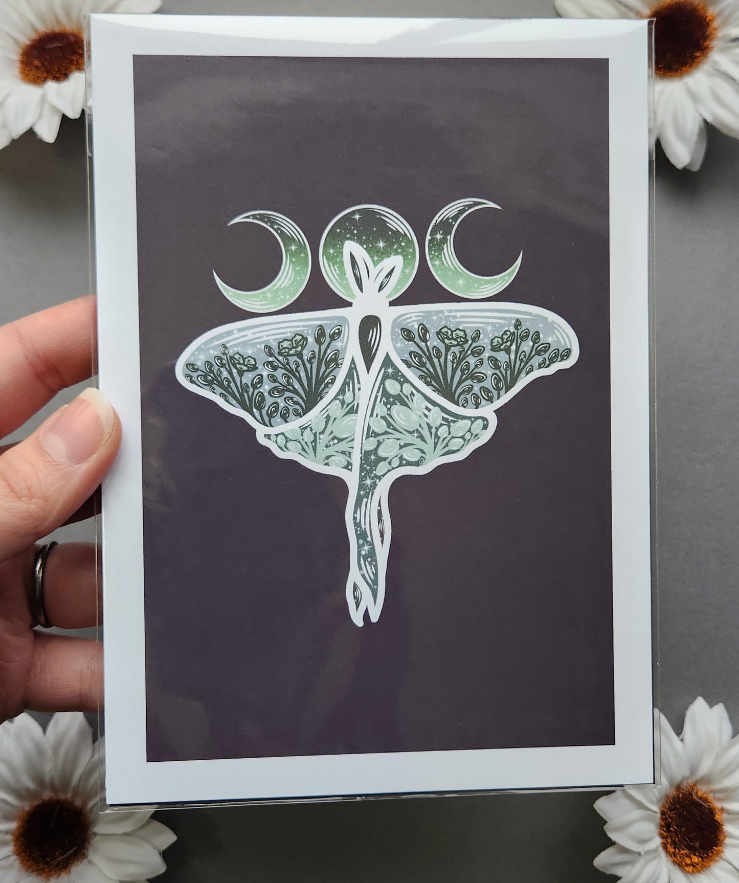 Green Luna Moth 5x7 Matte Print