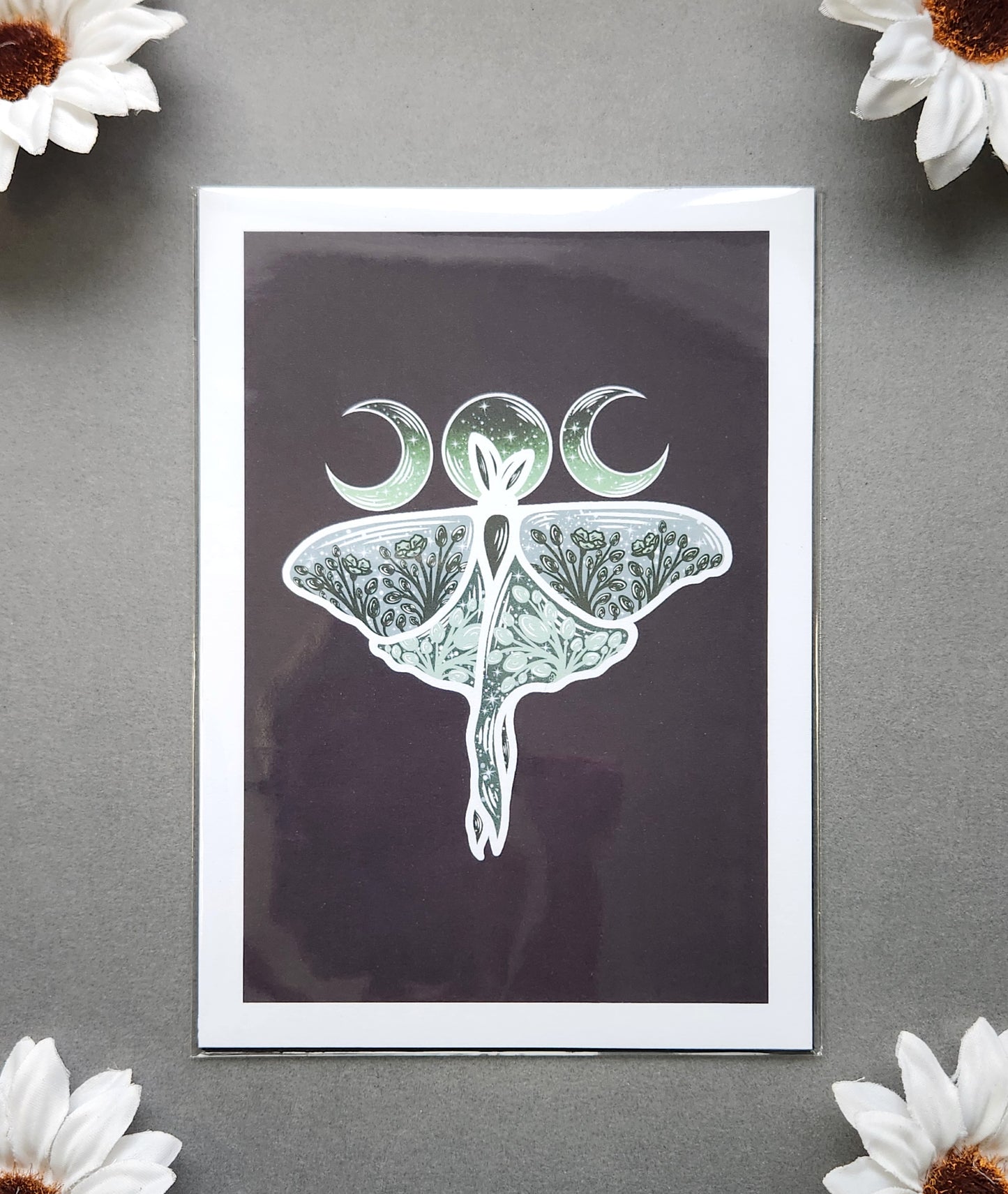 Green Luna Moth 5x7 Matte Print