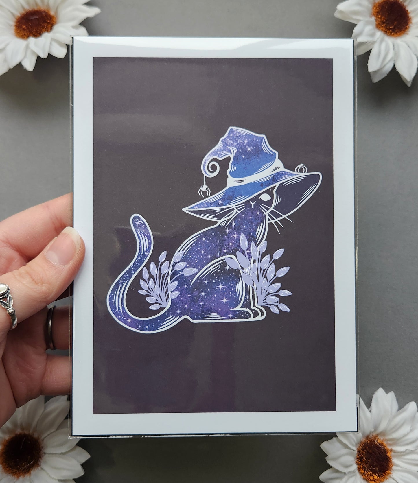 Witch Hat Cat 5x7 Matte Print