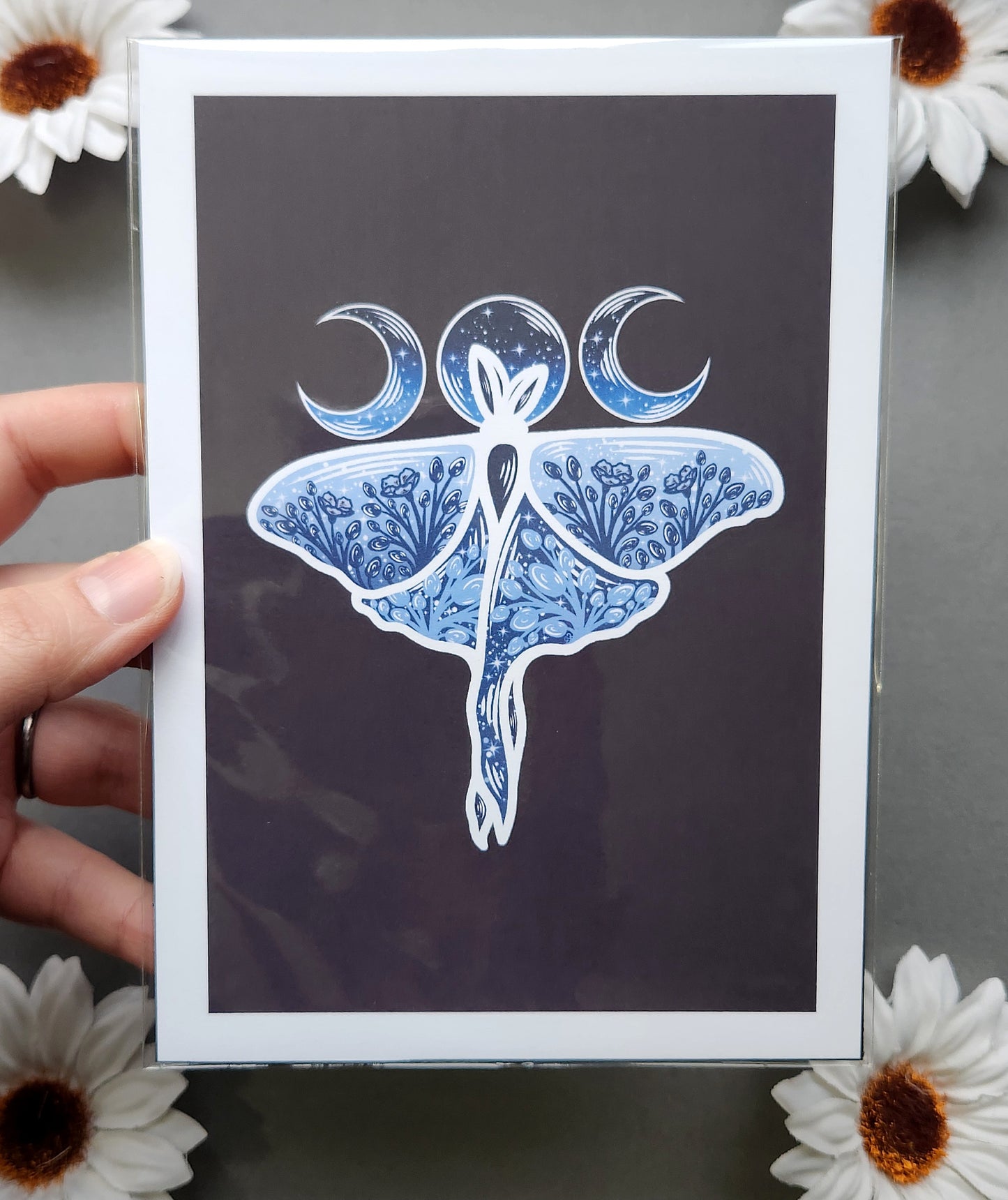 Blue Luna Moth 5x7 Matte Print