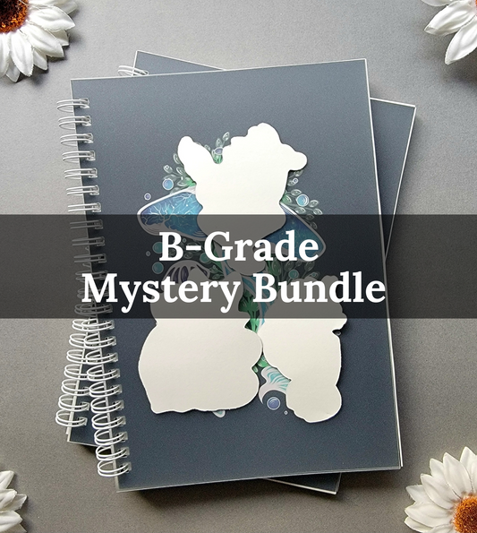 B-Grade Mystery Bundle