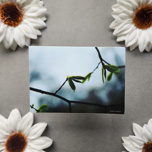 Spring Leaves Photo 3x2.1-inch Matte Sticker