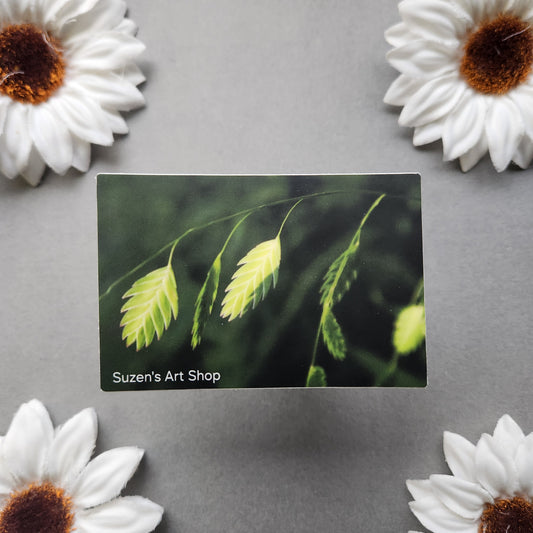 Green Leaf Photo 3x2-inch Matte Sticker